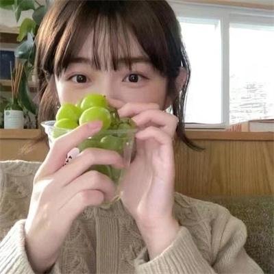淑女鸟